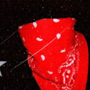 Meet your Posher, Ramone